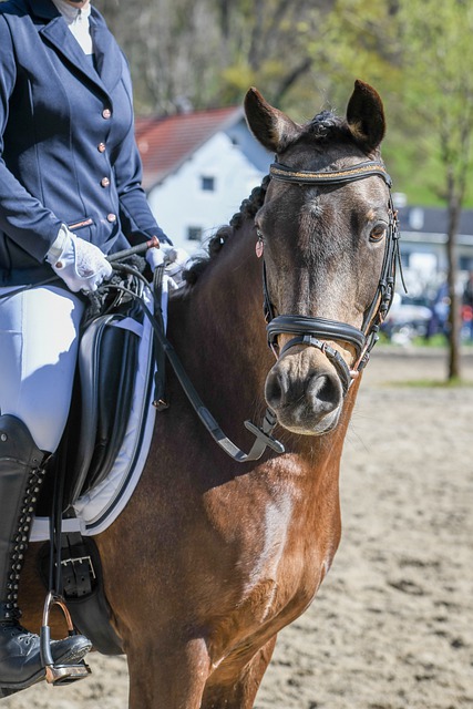 斯基拉：尤文会在今天正式任命科莫利出任俱乐部CEO