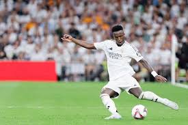 官方：26岁的前比利时国脚、国米旧将范赫斯登退役