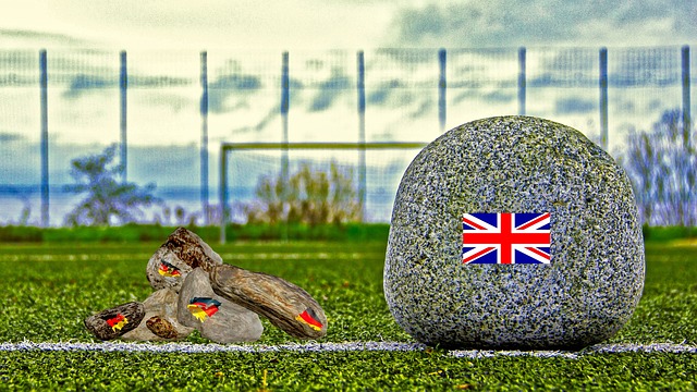 官方：因韦格霍斯特身体状况不佳，荷兰国家队补招埃梅加